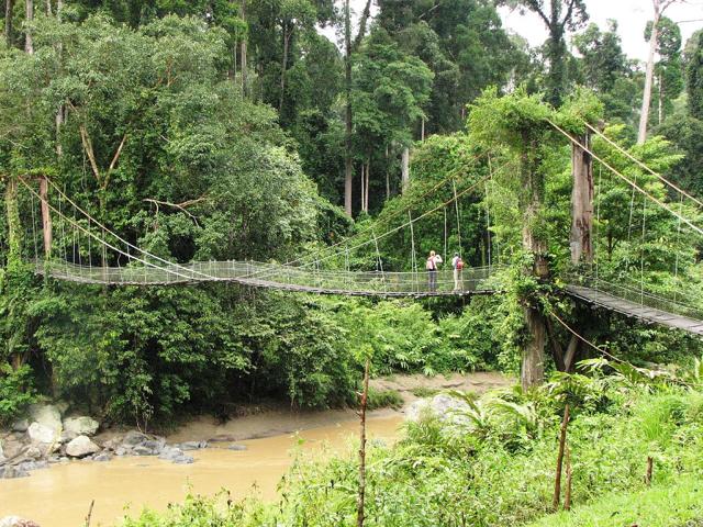 Danum Valley Conservation Area